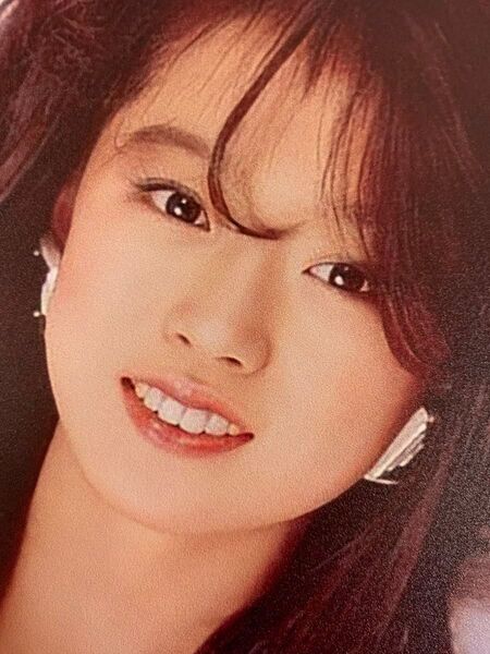 ◆中森明菜◆ポスター◆金属製ポスター◆30X20cm #CD #DVD #写真