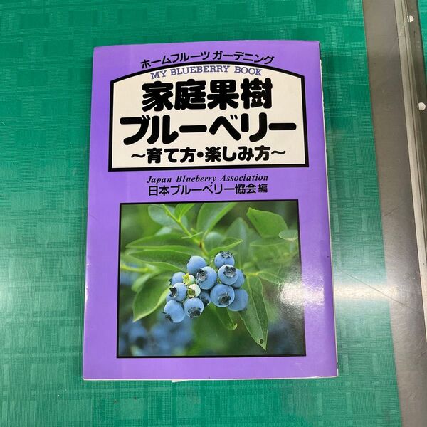家庭果樹 ブルーベリー ~育て方・楽しみ方~