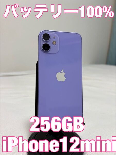 【売り切れ間近バッテリー100%格安】iPhone12mini 256GB