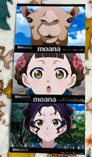 薬屋のひとりごと 場面写ブロマイド ブロマイド ポストカード 写真 フォト 小蘭 子翠 楼蘭 ラクダ