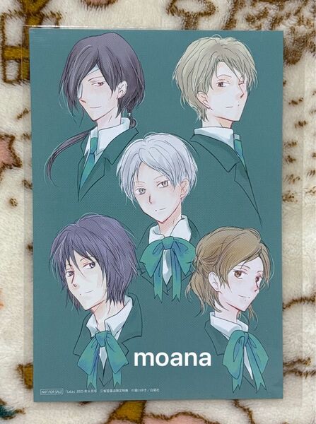 夏目友人帳 三省堂 ブロマイド ポストカード イラストカード LaLa 6月号 特典 夏目貴志 田沼 名取 的場 多軌