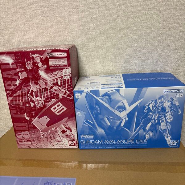 MG F80ガンレイド RG ガンダムアヴァランチエクシアダッシュ 2点セット