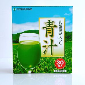 世田谷自然食品 乳酸菌が入った青汁 30包1箱 青汁