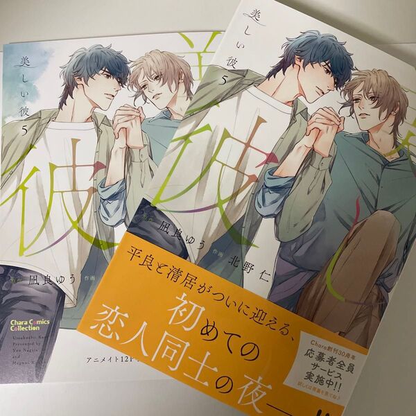 美しい彼 5 凪良ゆう 北野仁 アニメイト 小冊子