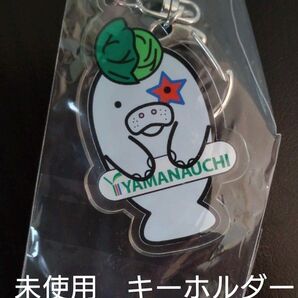 値下げしました!マナやん ヤマウチ アクリルキーホルダー(未使用非売品)