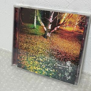 DuelJewel 愛愁メランコリア/Life On... GONE SIDE