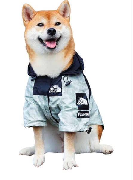The North Face【風】犬用レインコート Lサイズ