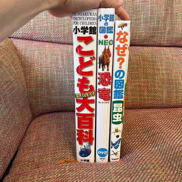 小学館 図鑑NEO他 3冊セットこども大百科 恐竜 昆虫