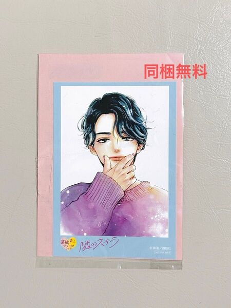 同梱無料 隣のステラ 廻天のアルバス 芸能ラブコメフェア限定特典イラストカード