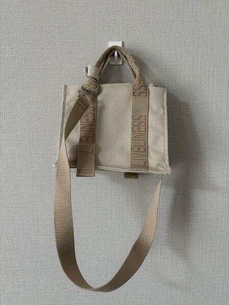 ZARA ハンドバッグ キャンバス ショルダー