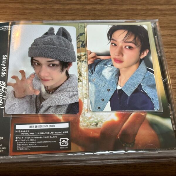 stray kids タワレコ エコパ 記念特典 タワレコ ラキドロ 封入 トレカ スキズ バンチャン skzoo