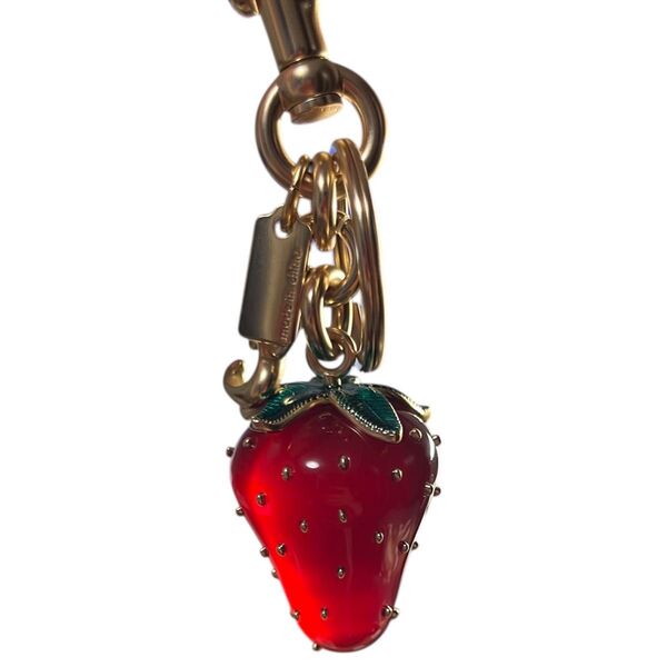 COACH バッグチャーム ストロベリー キーホルダー ストラップ 品番: CAO50 IMUP7
