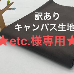 【etc.様専用】Q-899.898 1.5m 訳あり キャンバス生地 水玉模様 綿100% ※写真要確認
