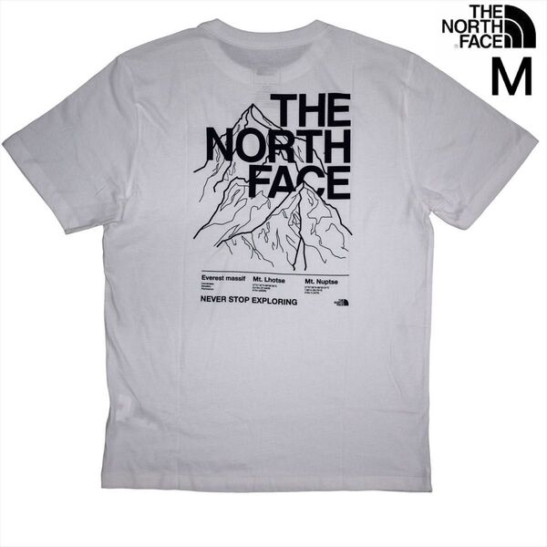 US限定 新品 ノースフェイス M グラフィック 両面 ロゴ 半袖Tシャツ THE NORTH FACE