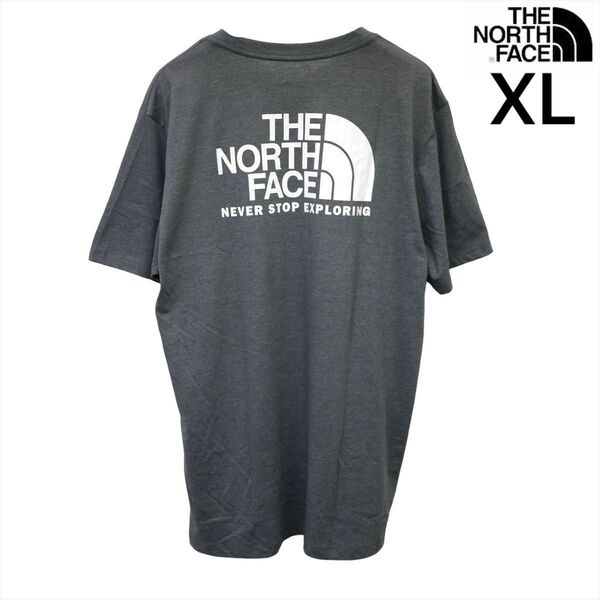 US限定 ノースフェイス XL ハーフドーム 両面ロゴ 半袖Tシャツ グレー THE NORTH FACE