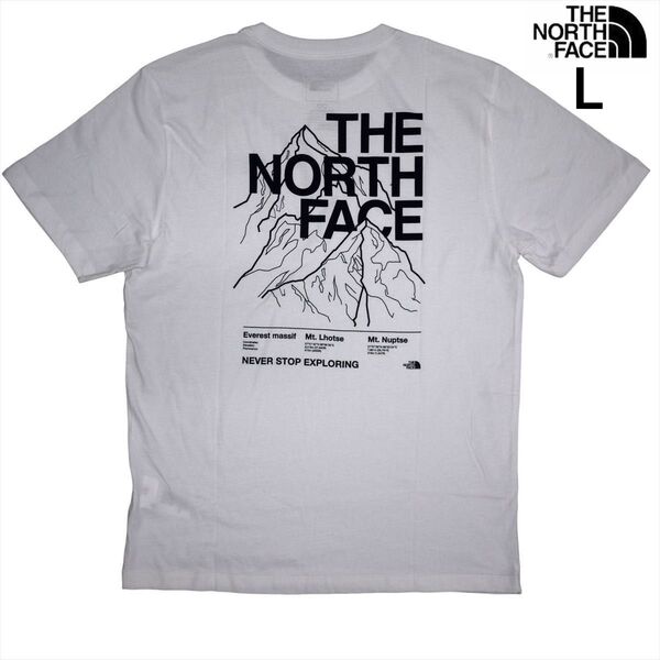 US限定 新品 ノースフェイス L グラフィック 両面ロゴ 半袖Tシャツ 白 THE NORTH FACE
