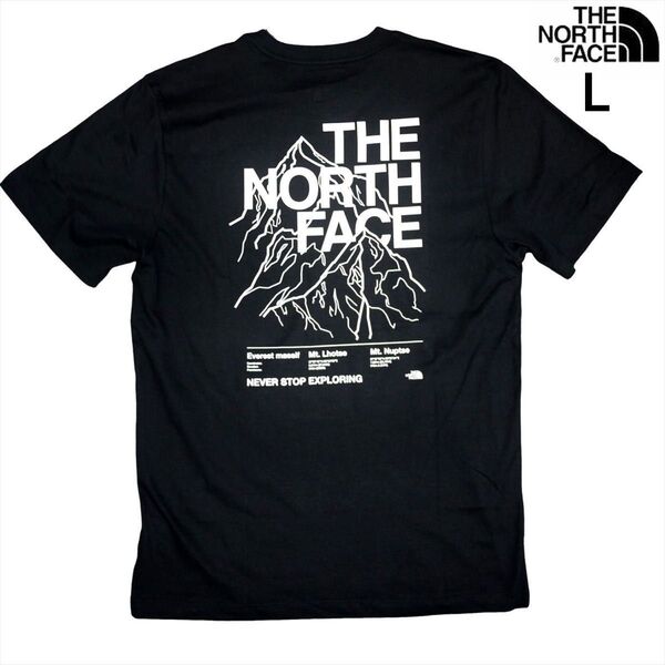 US限定 新品 ノースフェイス L グラフィック 両面 ロゴ 半袖Tシャツ 黒 THE NORTH FACE