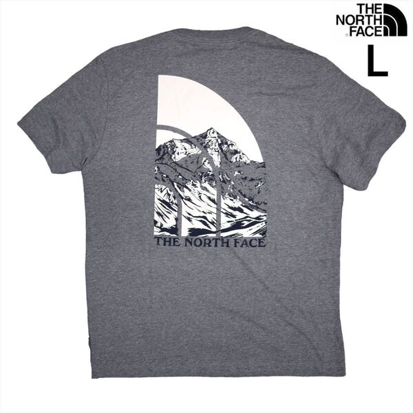 US限定 新品 ノースフェイス L グラフィック 両面 ロゴ 半袖Tシャツ グレー THE NORTH FACE