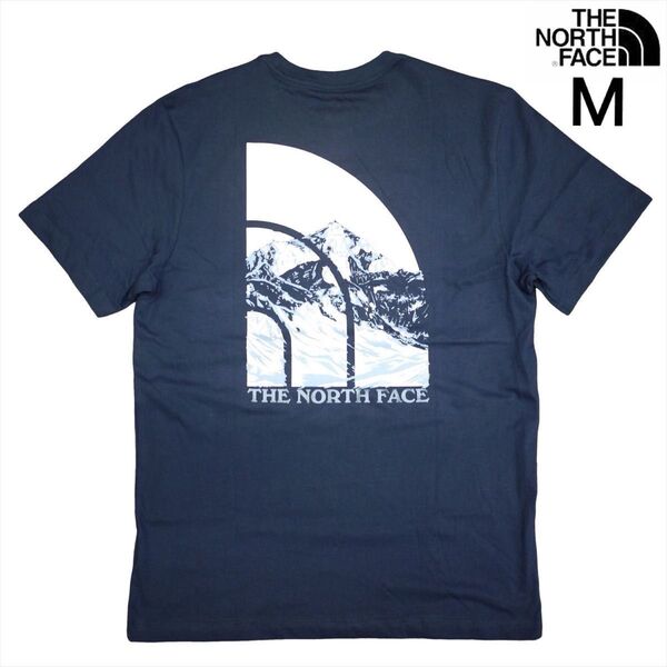 US限定 新品 ノースフェイス M グラフィック 両面ロゴ 半袖Tシャツ 青 THE NORTH FACE