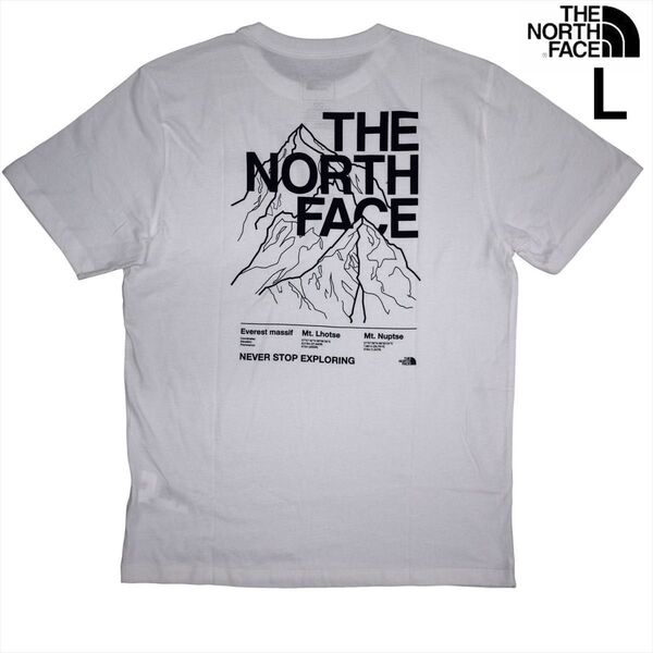 US限定 新品 ノースフェイス L グラフィック 両面ロゴ 半袖Tシャツ 白 THE NORTH FACE