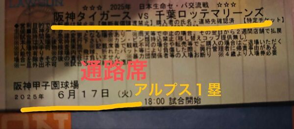 阪神タイガース 6月17日火曜日 千葉ロッテマリーンズ甲子園アルプス1塁 ★通路席★