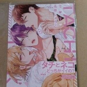 タチとネコどっちがイイの? 名原しょうこ 特典とらのあな小冊子●未読品● コレクション