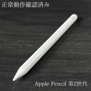 正常動作確認済み Apple Pencil 第2世代 ss3