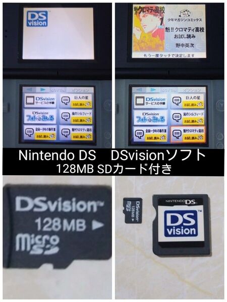 Nintendo DS DS vision ソフトとSDカードのみ出品です。DS ビジョン SDにお試し読み7本入りのレアソフト
