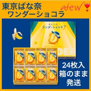 【未開封発送】東京ばな奈 ワンダーショコラ 24枚入 ショップ袋OK 箱のまま発送します
