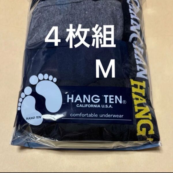 ハンテン HANG TEN. ボクサーブリーフ ボクサーパンツ M 4枚組