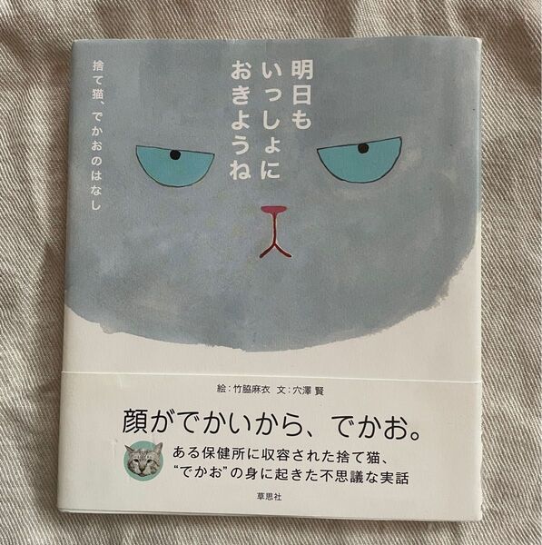 明日もいっしょにおきようね 捨て猫、でかおのはなし 竹脇麻衣/絵 穴澤賢/文 草思社 初版第1刷