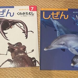 キンダーブック しぜん くわがたむし いるか 2冊セット