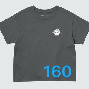 ユニクロ ちいかわ x ナガノのくま UT グレー 160