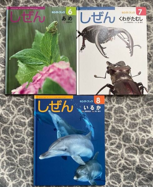 キンダーブック しぜん 3冊セット あめ くわがたむし いるか 2014年6月号 7月号 8月号