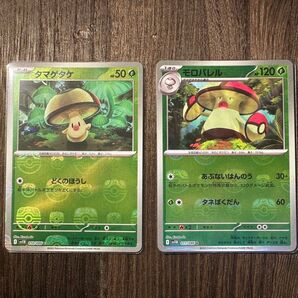 【ポケモンカード】タマゲタケ・モロバレル マスターボールミラー