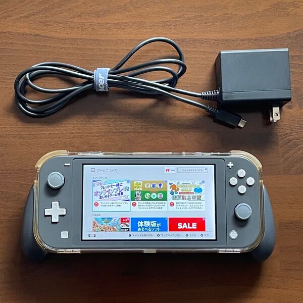 ニンテンドースイッチライト Nintendo Switch Lite グレー