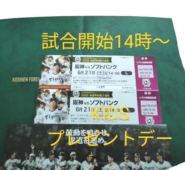 【6月21日(土曜)】14時-☆阪神vsソフトバンク/レフト外野*下段指定席(2枚)セ・パ交流戦/阪神タイガース甲子園チケット