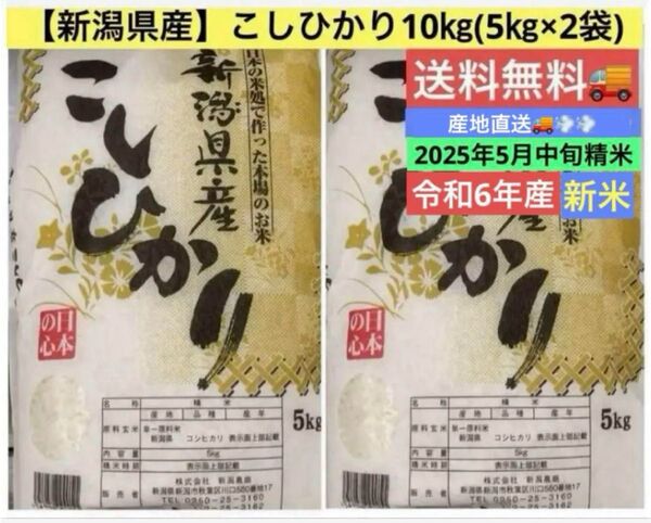 新潟県産 令和6年産 こしひかり10㎏ (5㎏×2袋) 送料無料 6月精米仕立ての美味しお米をご自宅へお届け