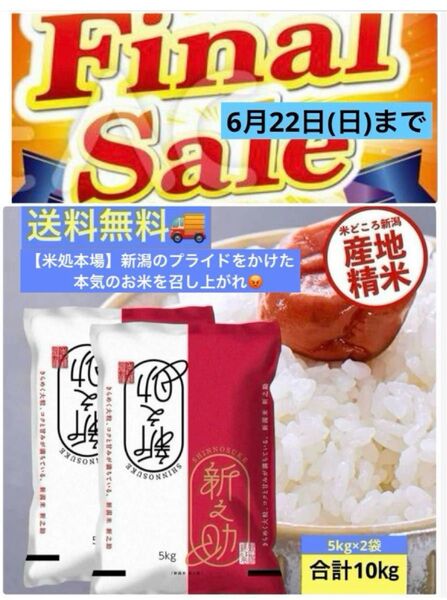 【米処本場】新潟の新ブランド米『新之助』10kg(5kg×2袋)★送料無料★