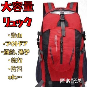 レッド 登山リュック バック 赤 リュックサック リュック 防災 軽量 撥水 キャンプ アウトドア 防災