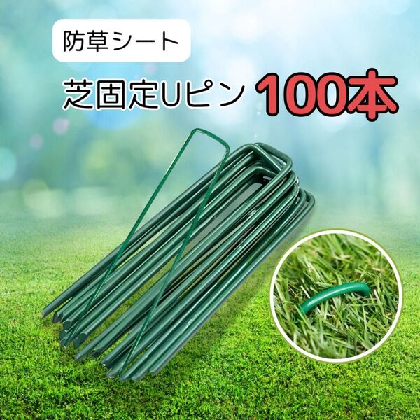 防草シート 人工芝固定Uピン 100本 グリーン ガーデニング テント張り