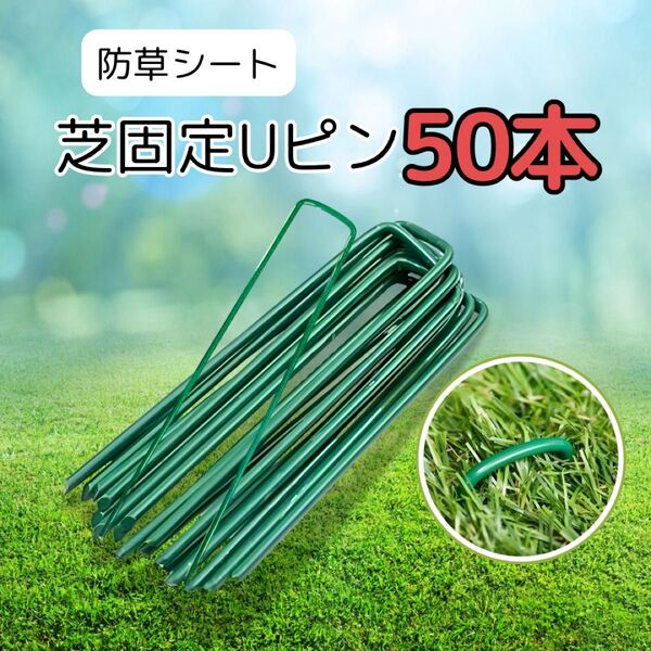 防草シート 人工芝固定Uピン 50本 グリーン ガーデニング テント張り