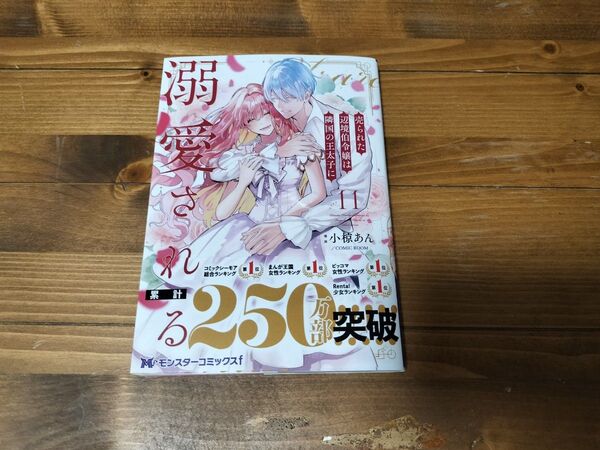売られた辺境伯令嬢は隣国の王太子に溺愛される 11 (モンスターコミックスf) 小椋あん/漫画 COMIC ROOM/漫画