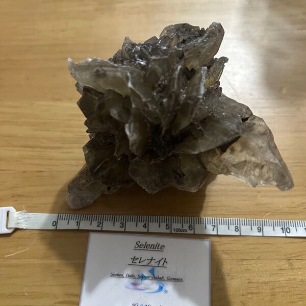 【蛍光鉱物】セレナイト結晶標本 218.5g(ドイツ・Seeben産)/エヌズミネラル購入・産地カード付.