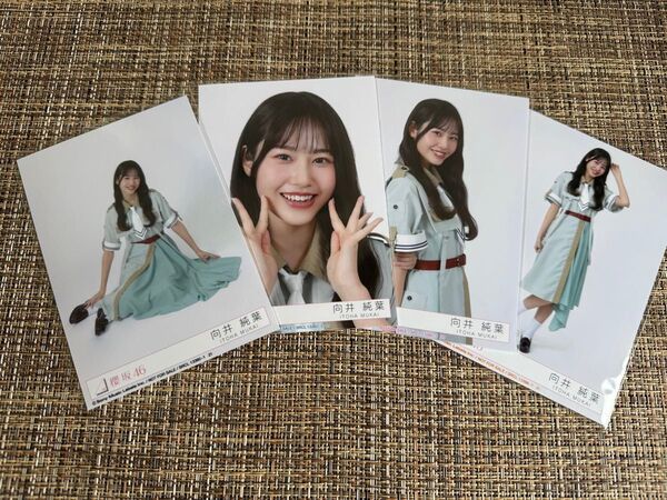 向井純葉 櫻坂46 12th Make or Break 封入生写真コンプ