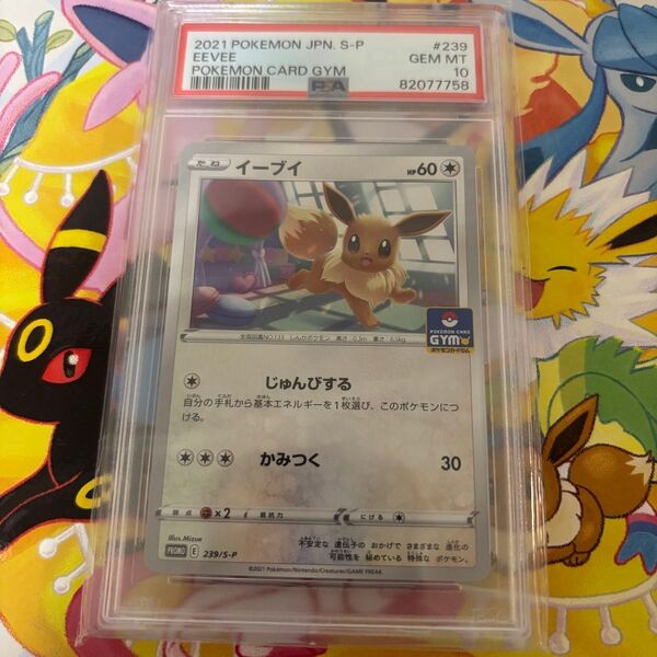 【処分価格】イーブイ ジムプロモ 239/S-P PSA10 ポケモンカード ポケカ