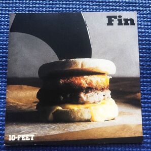 10-FEET Fin フライヤー レンタル落ち