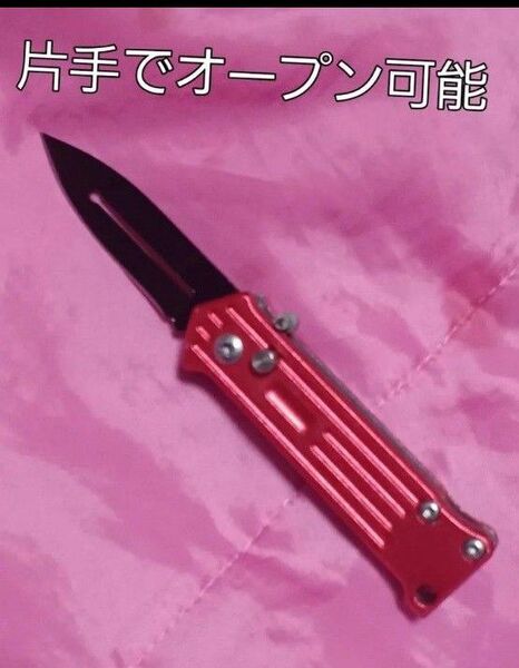 値下 刃渡り5.5cm未満 ミニナイフ アシストオープン 折りたたみナイフ