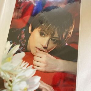 希少!宝塚歌劇団 雪組 朝美絢 ライジングスターガイド2017 ポート写真 舞台写真サイズ