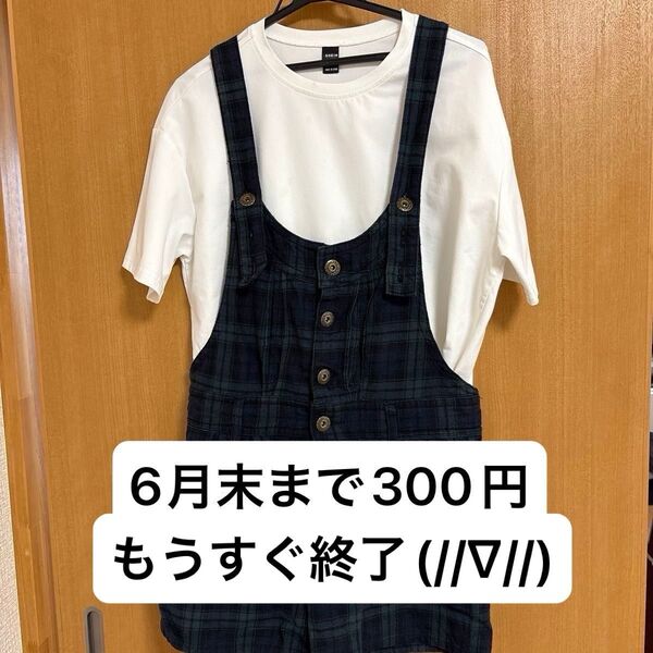 チェック柄オーバーオールレディース L ノーブランド(使用感あり)